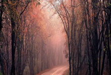 瑞士携带三分回家，做客擒敌