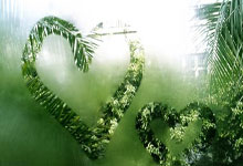 不伦瑞克在客场比赛中取得胜利