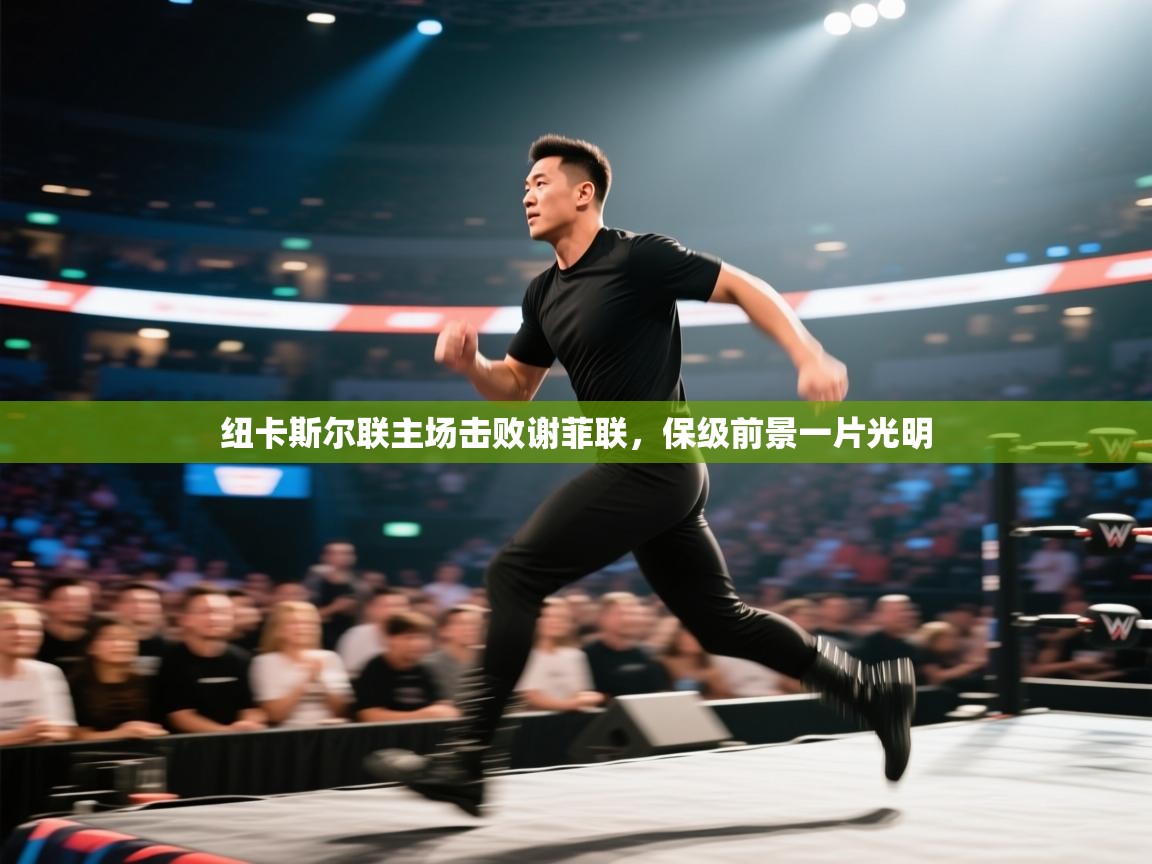 纽卡斯尔联主场击败谢菲联，保级前景一片光明  第1张