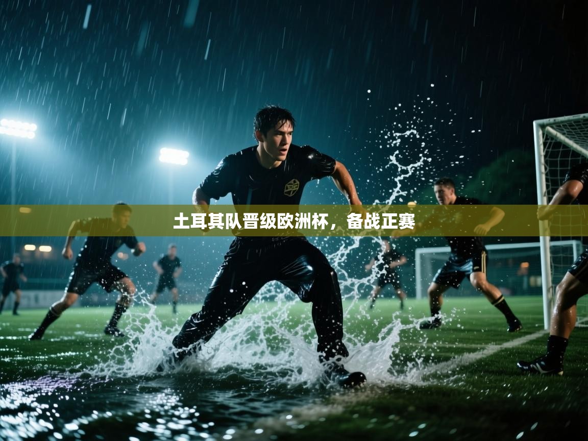 土耳其队晋级欧洲杯，备战正赛  第1张