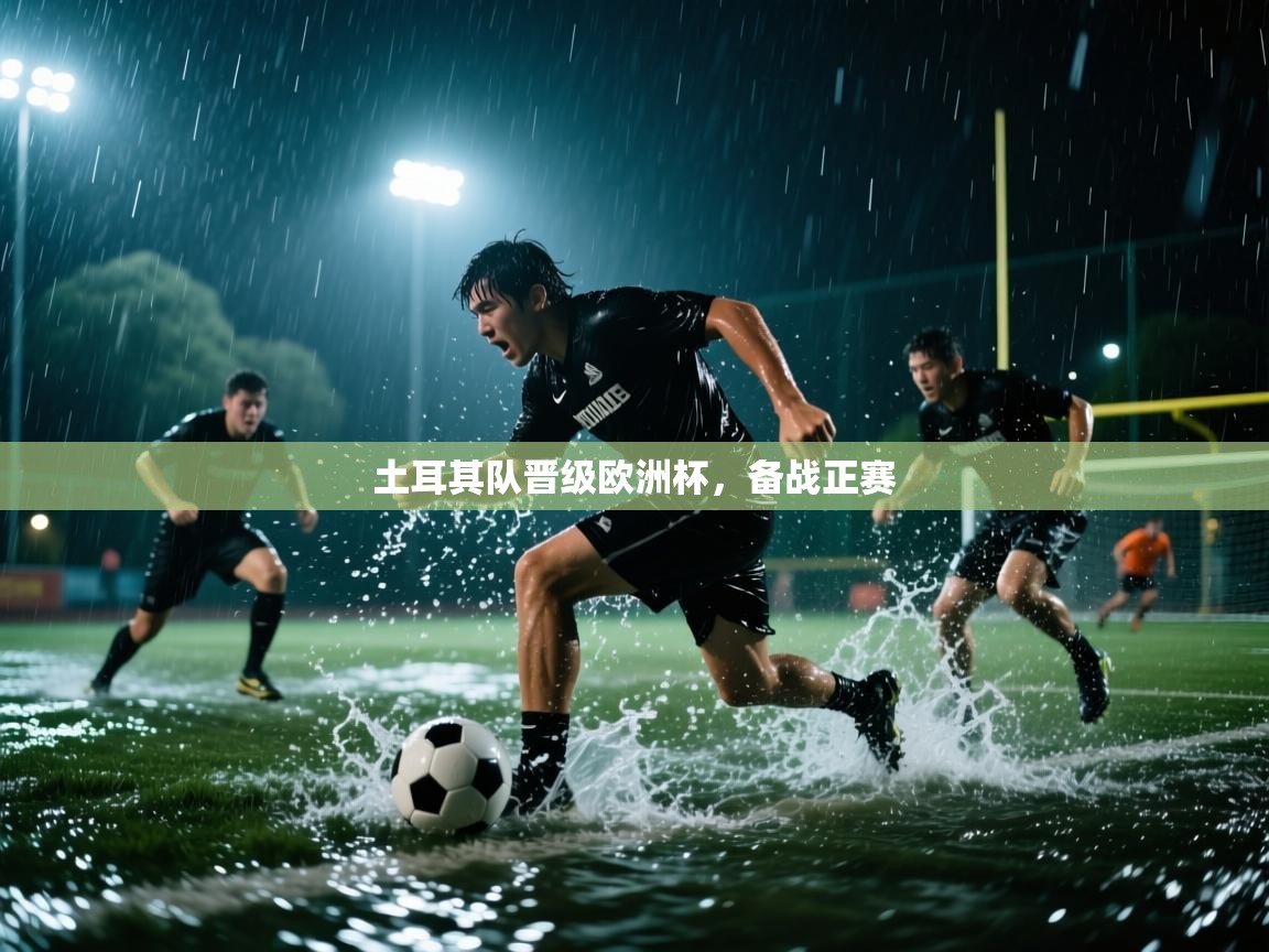 土耳其队晋级欧洲杯，备战正赛  第2张