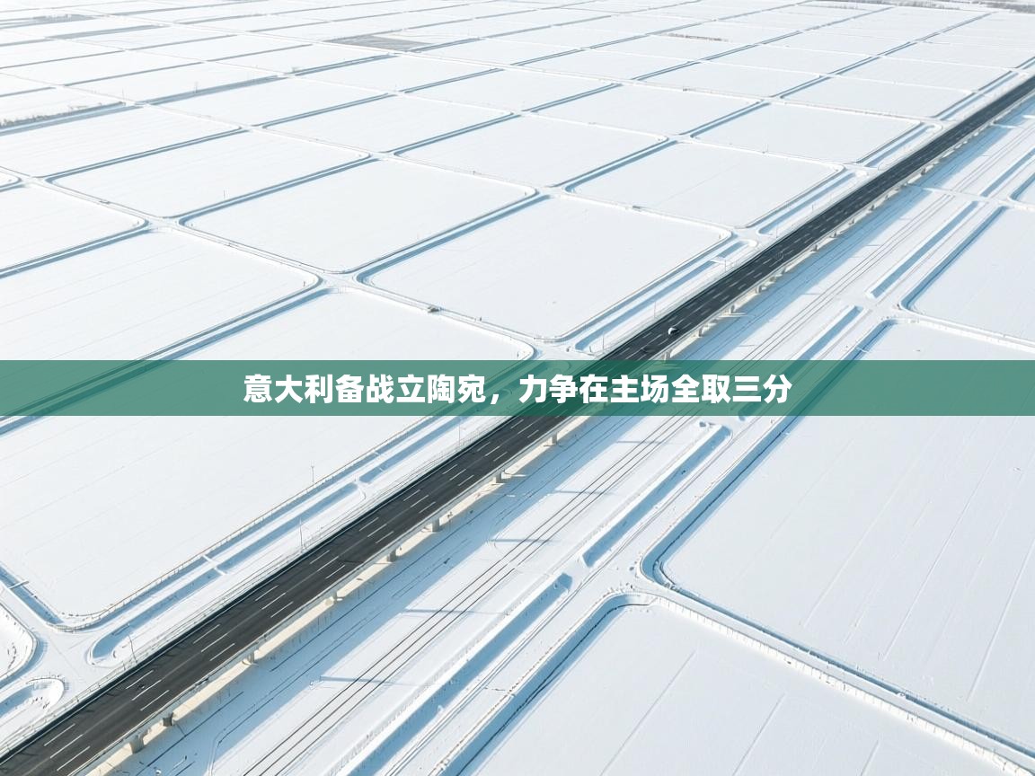 意大利备战立陶宛,力争在主场全取三分 第1张