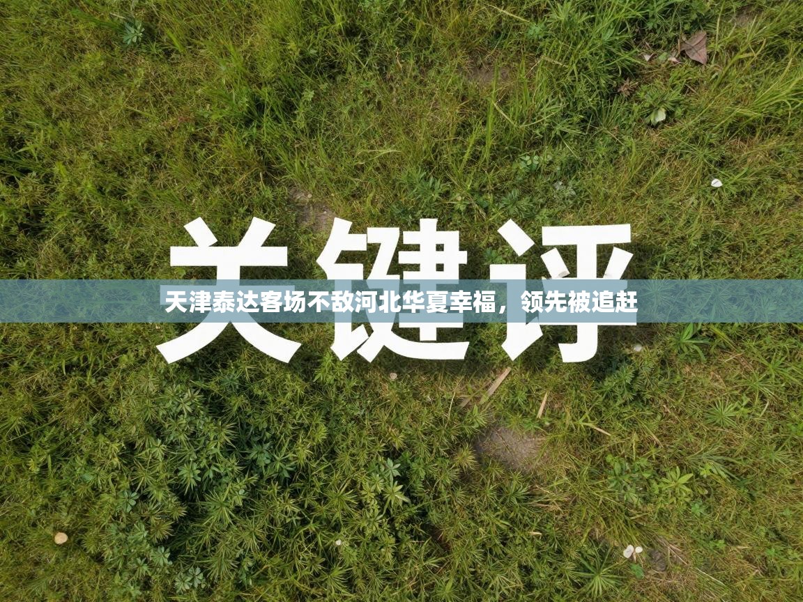 天津泰达客场不敌河北华夏幸福，领先被追赶  第1张