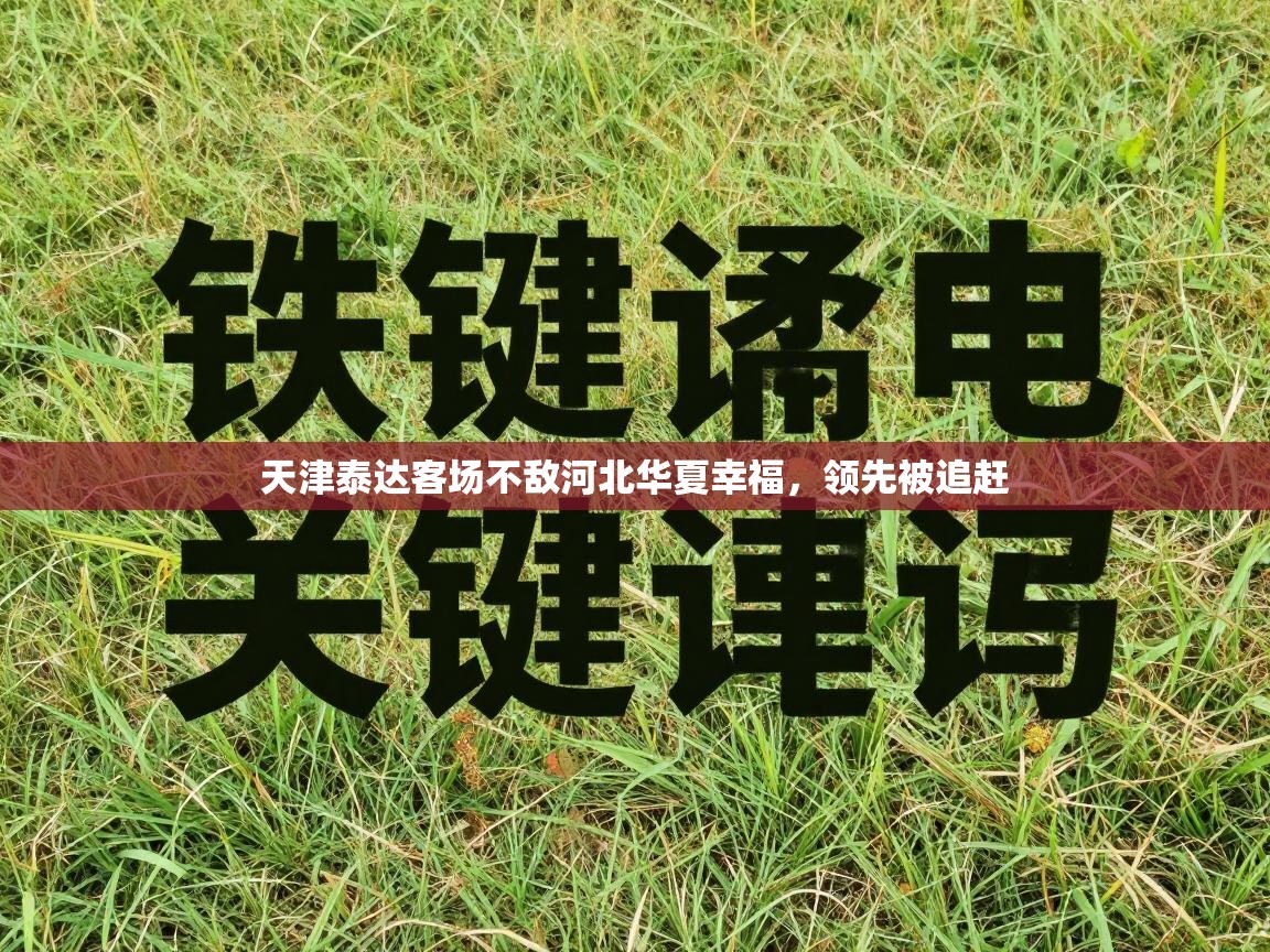 天津泰达客场不敌河北华夏幸福，领先被追赶  第2张